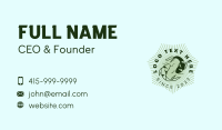 Koi Pond Conservation Business Card