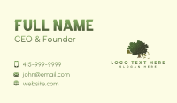 Tree Wood Forestry Business Card Design