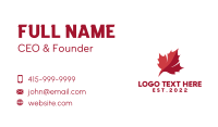 Ottawa Business Card example 2