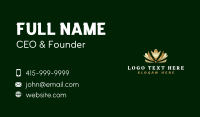 Human Crown Foundation Business Card