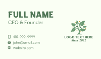 Vegan Human Tree Business Card Design