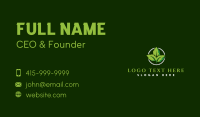 Herb Leaf Plant Business Card