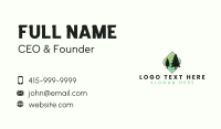 Eco Pine Tree Forestry Business Card Design