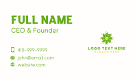 Solar Leaf Fan Business Card Design