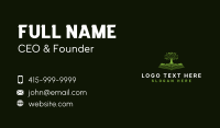 Tree Book Knowledge Business Card
