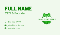 Lettuce Salad Farm Business Card