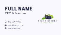 Kentucky Blackberry Fruit Business Card