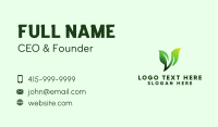 Green Organic Plant Letter V Business Card Design