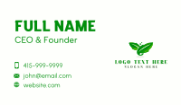Herbal Leaf Horticulture Business Card Design
