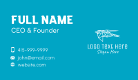 Plexus Business Card example 3