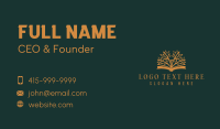 Literature Book Tree Business Card Design