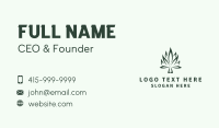 Herbal Medicine Business Card example 2