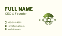 Indian Banyan Tree Business Card Design