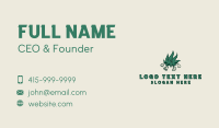 Cannabis Leaf Dispensary Business Card Design