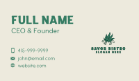 Dab Business Card example 3