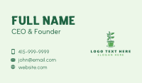 Pot Plant Business Card example 3