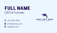 Orca Dolphin Whale Business Card Design