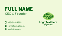 Natural Herb Plant  Business Card Design