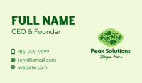 Natural Herb Plant  Business Card
