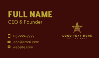 Professional Star Agency Business Card Design
