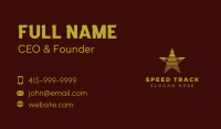 Professional Star Agency Business Card