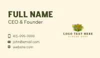 Iowa Corn Farm Business Card