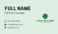 Green Geometric Star  Business Card Design