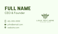 Caduceus Herbal Laboratory Business Card