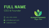 Succulent Business Card example 4