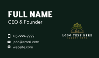 Tree Learning Education Business Card