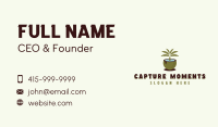 Tropical Coconut Tree Business Card