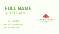 Fresh Watermelon Fruit Business Card Image Preview