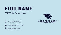 Wild Blue Lion Business Card Design