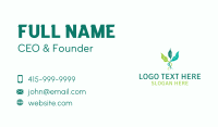 Leaf Sprout Vine Business Card Design