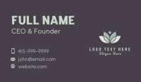 Natural Lotus Spa Business Card Design