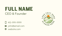 Home Yard Lawn Business Card