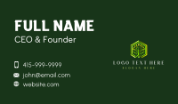 Tree Plant Hexagon Business Card