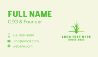 Grass Lawn Care Business Card Design