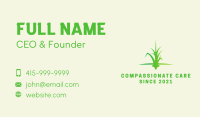 Grass Lawn Care Business Card Image Preview