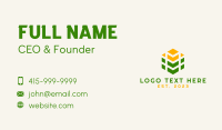 Agriculture Cube Letter M Business Card Design