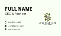 Leaf Coconut Herb  Business Card Design