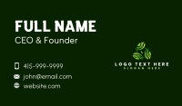 Herbal Leaves Therapy Business Card Design