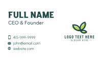 Leaf Botanical Garden  Business Card Design