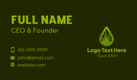 Green Grass Droplet  Business Card Design