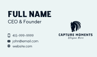 Mule Business Card example 4