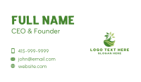 Sprout Tree Lawn Business Card