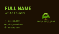 Organic Nature Tree Business Card Design