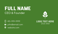 Needle Plant Acupuncture  Business Card