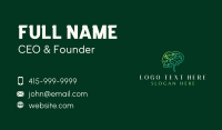 Brain Leaf Wellness Business Card Design