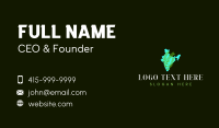 India Leaf Botanical Business Card Design